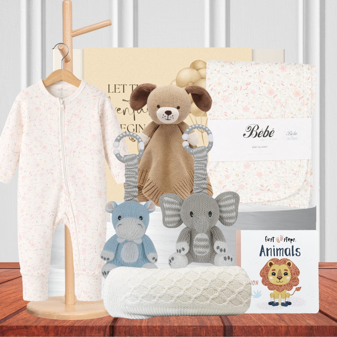 Welcome to the World Baby Hamper
