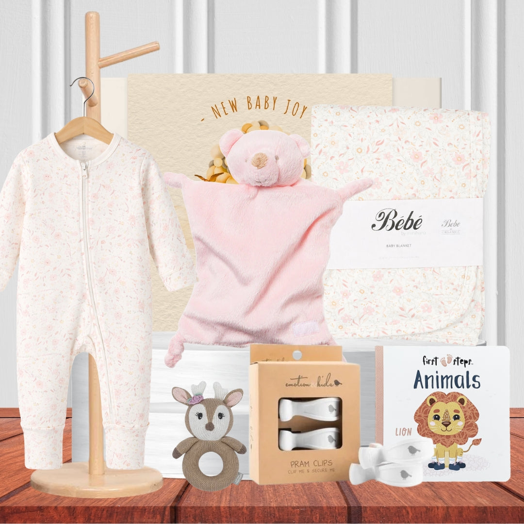 Welcome to the World Baby Girl Hamper
