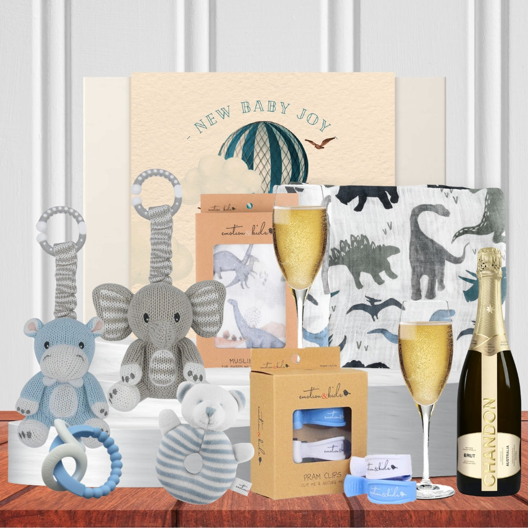 Little Baby Hippo Hamper