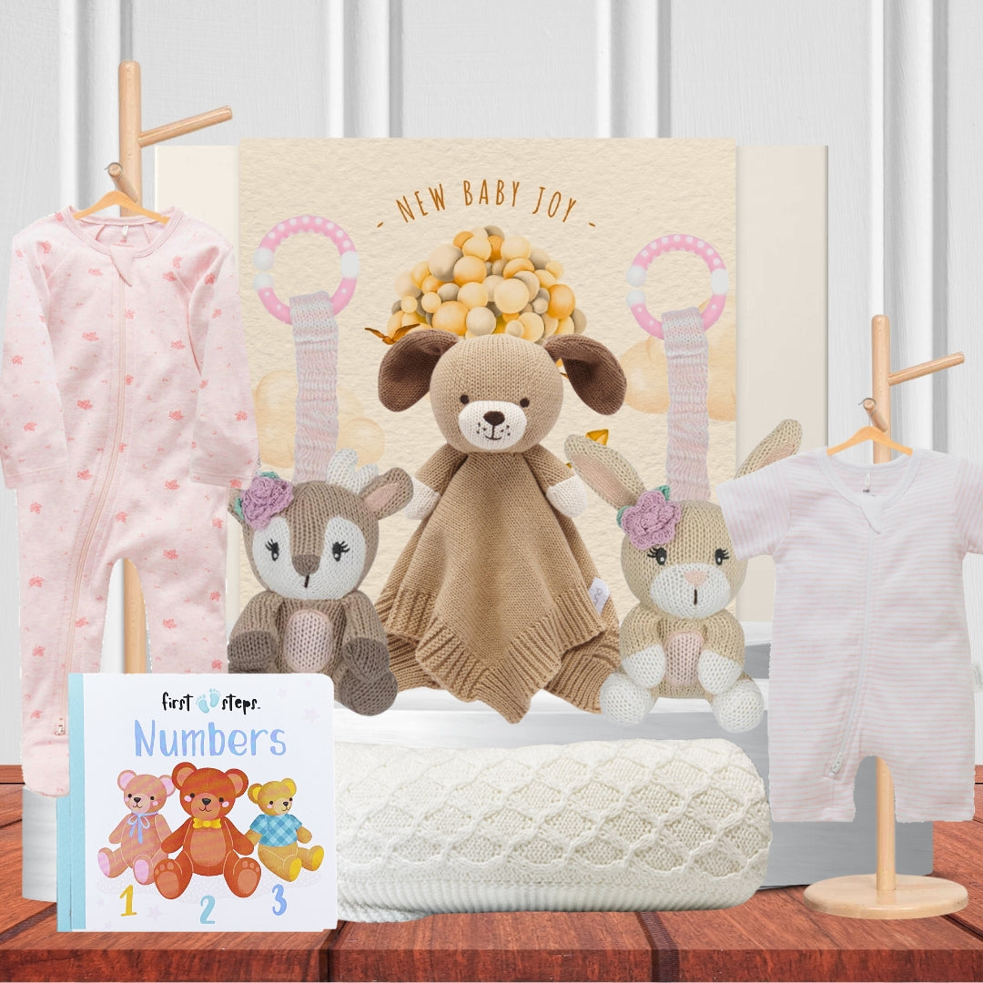 Welcome to the World Baby Girl Hamper