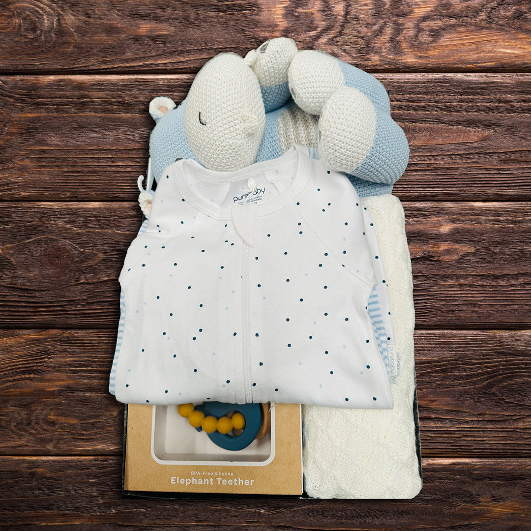 Baby Boy Cuddles Hamper