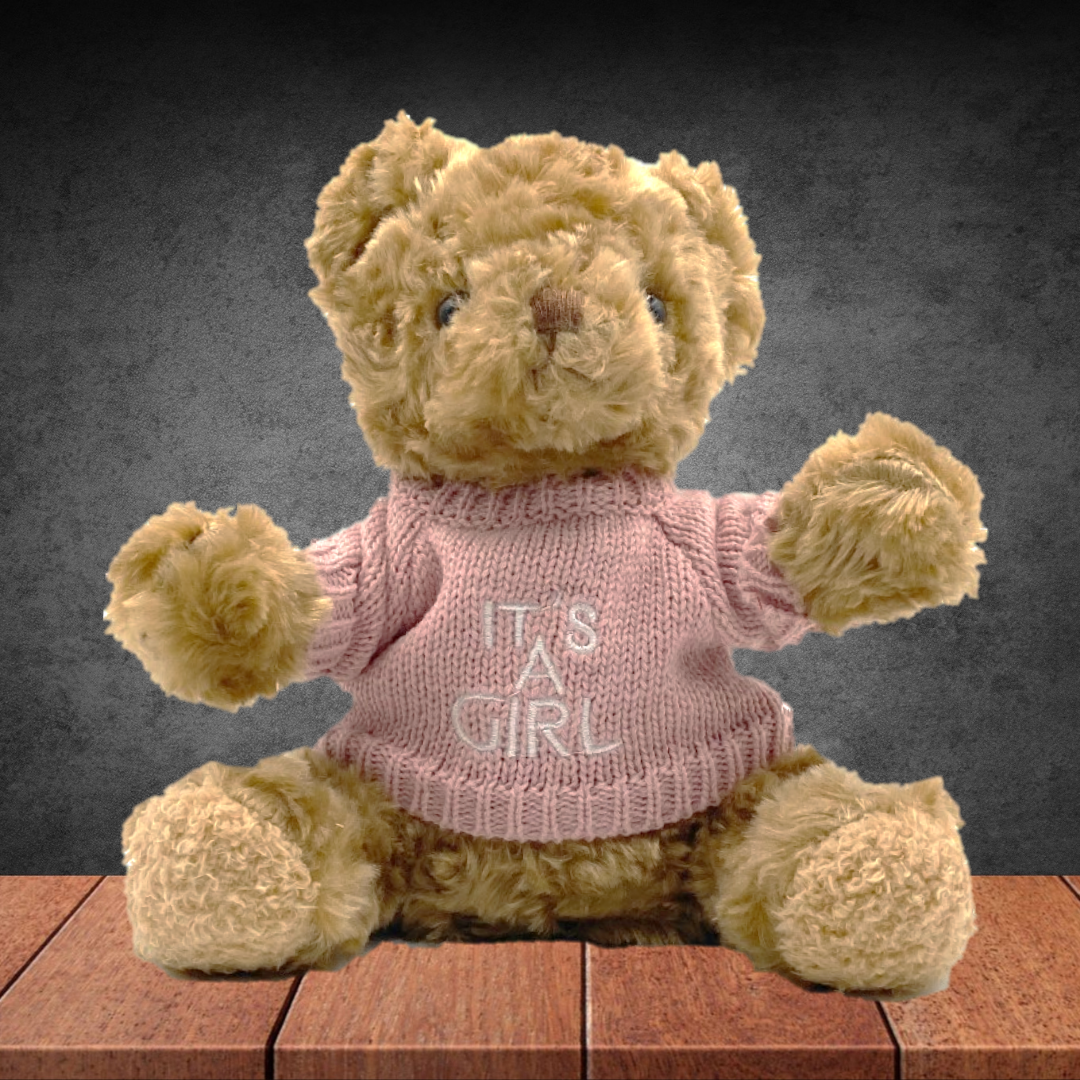Baby Girl Teddy Bear