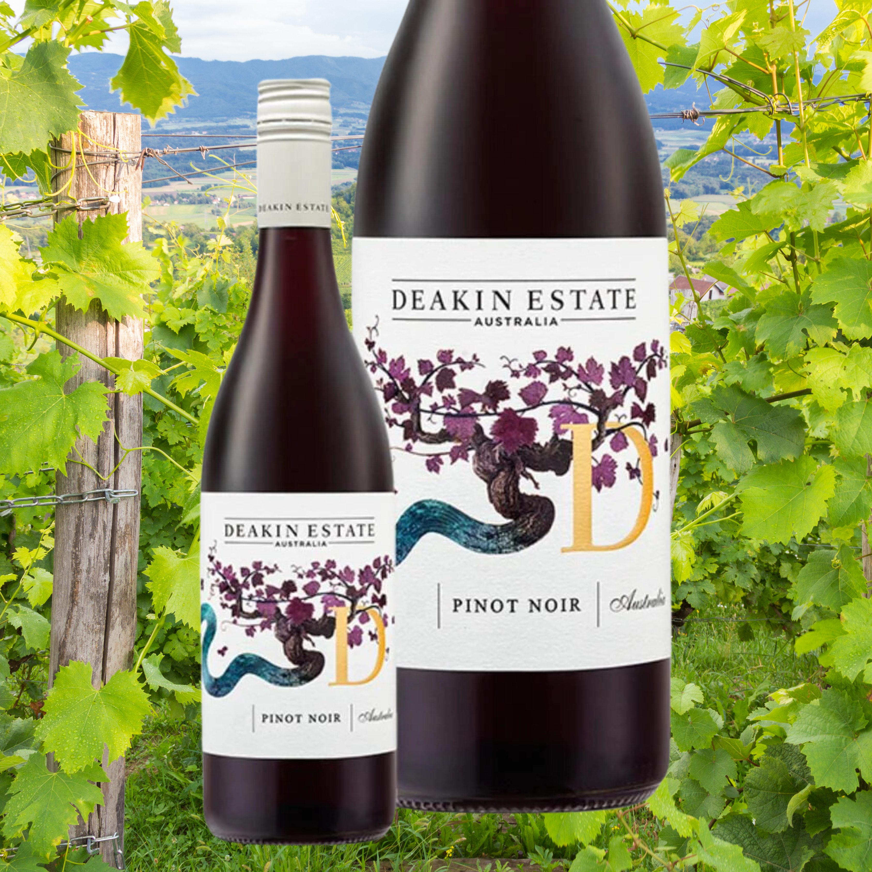 Pinot Noir & Merry Seasons Greetings