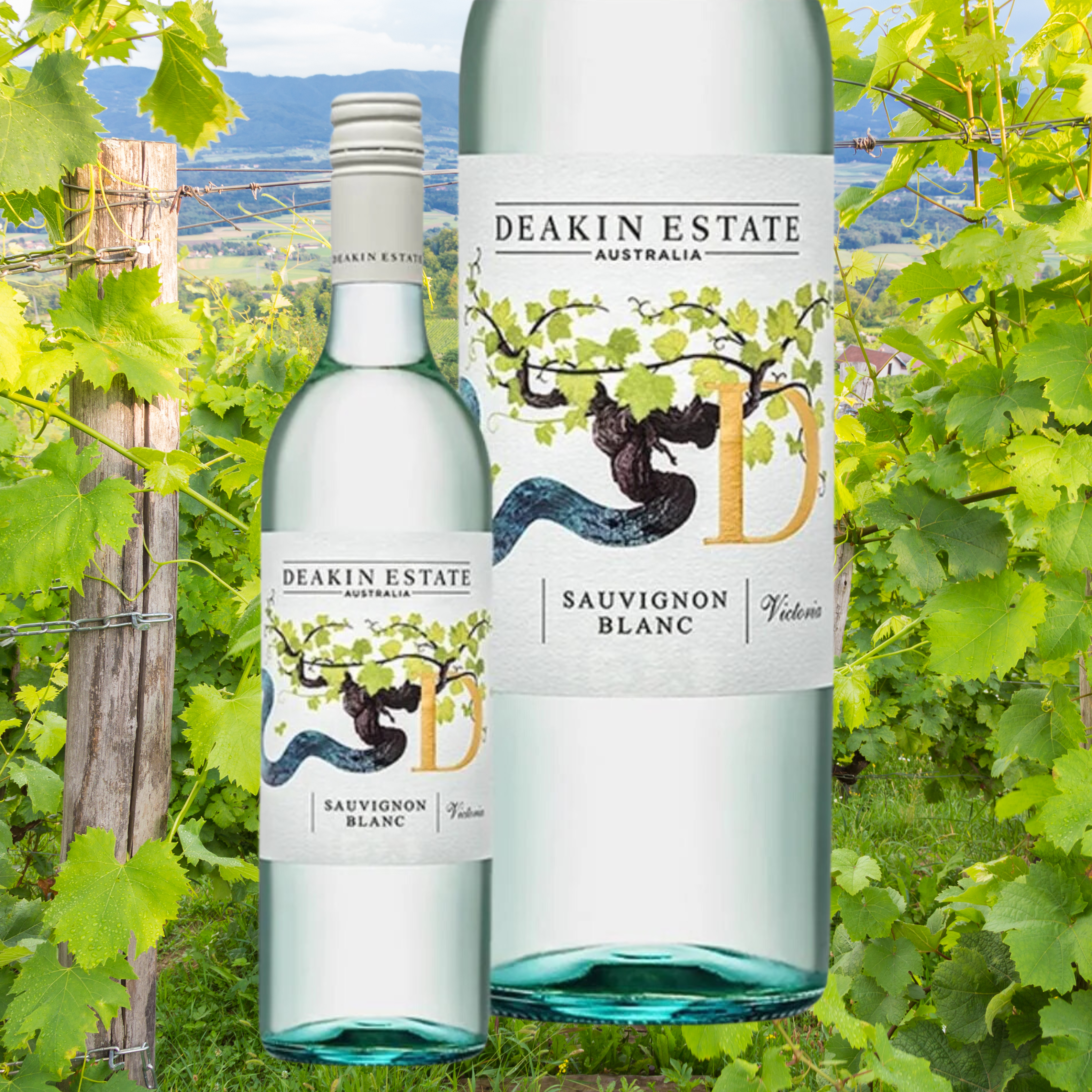 Sauvignon Blanc & Seasonal Treats