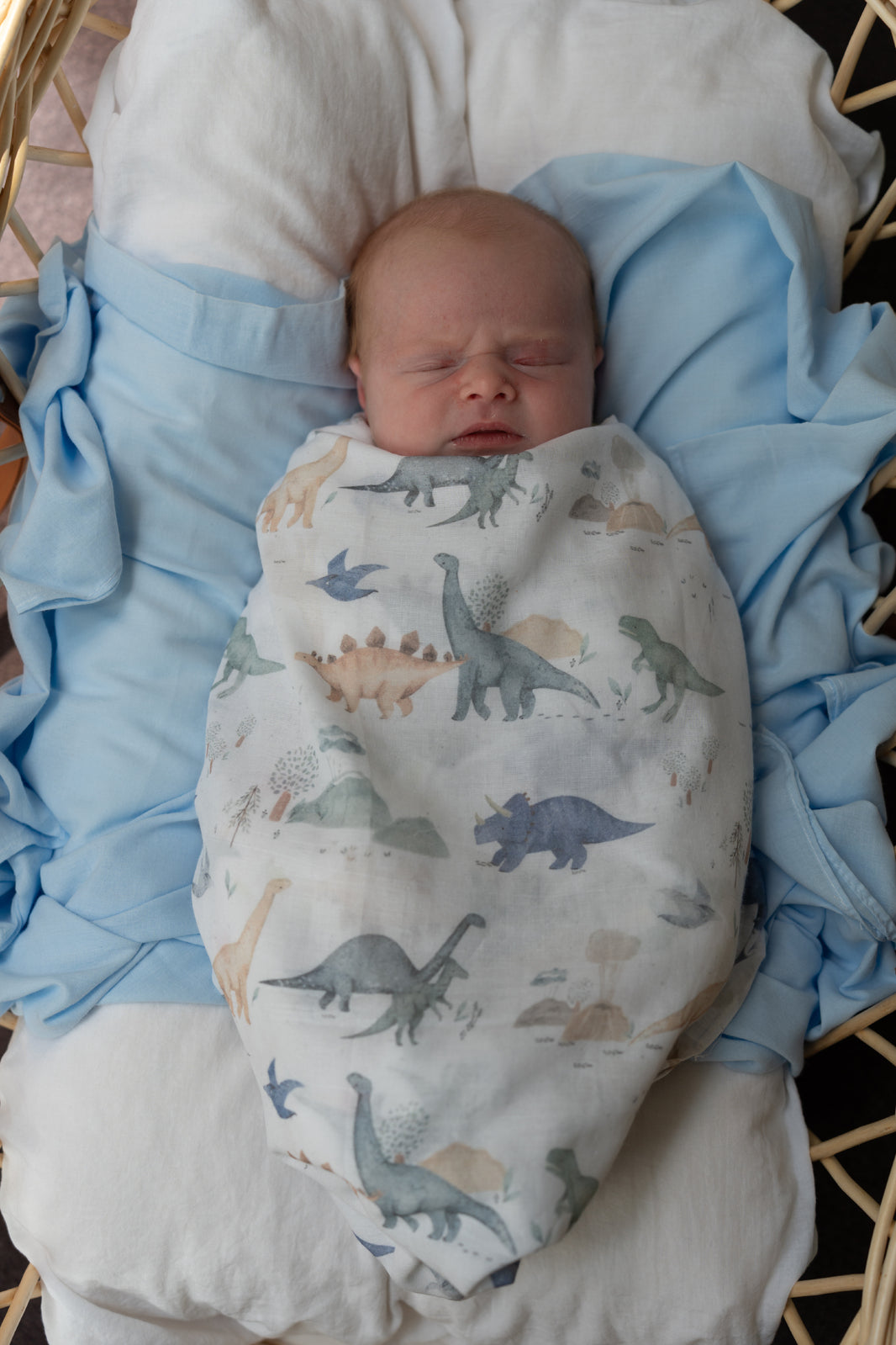 Baby Hippo & Elephant Hamper