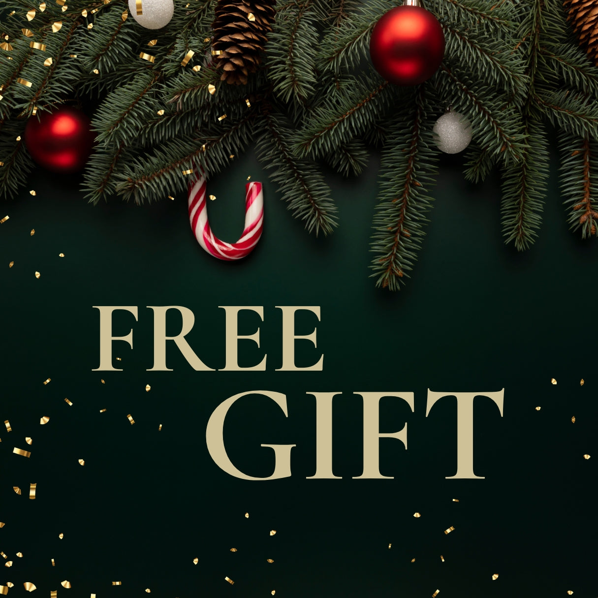 Special Christmas Deal