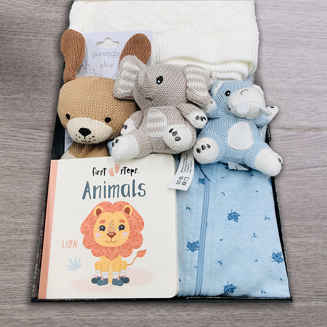 Welcome to the World Baby Boy Hamper