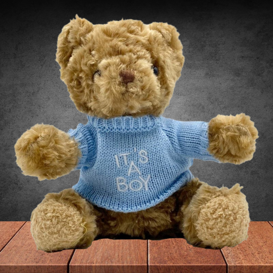 It's A Boy Teddy