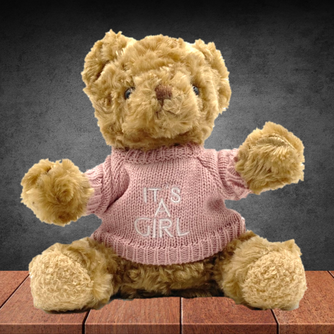 Teddy Bear With It's A Girl