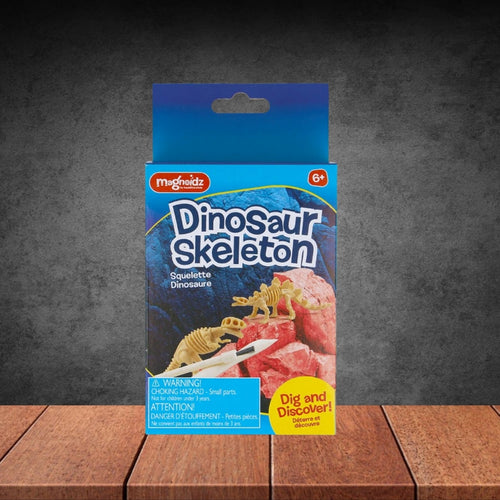 Magnoidz Dig And Discover Dinosaur Skeleton Kit