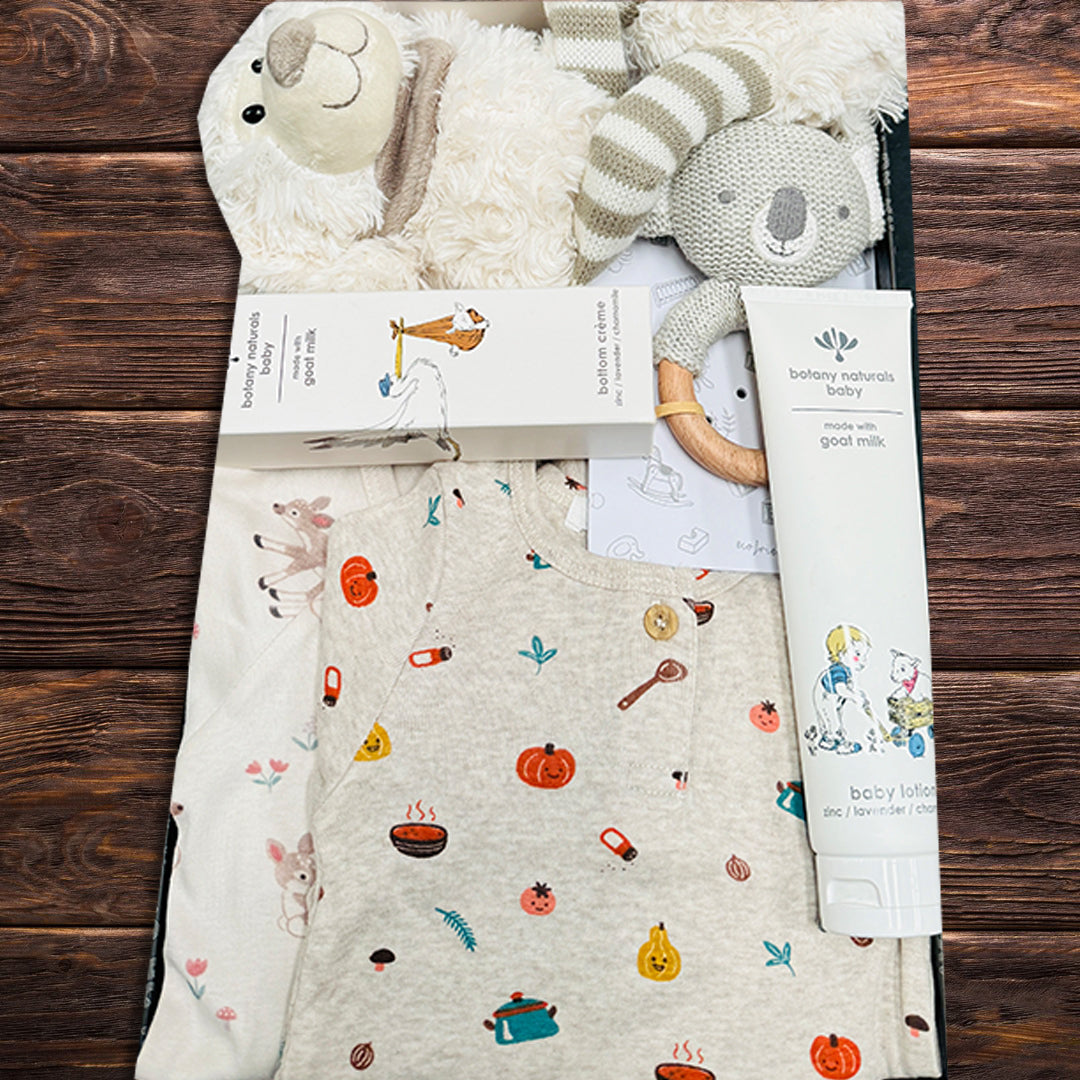 Newborn Baby Bliss Bundle