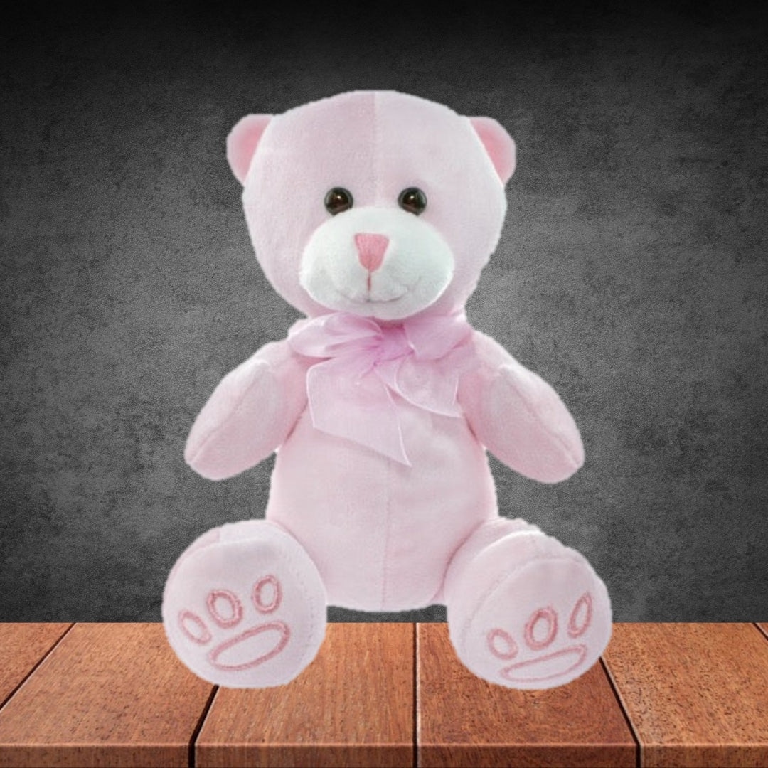Pink Teddy Bear