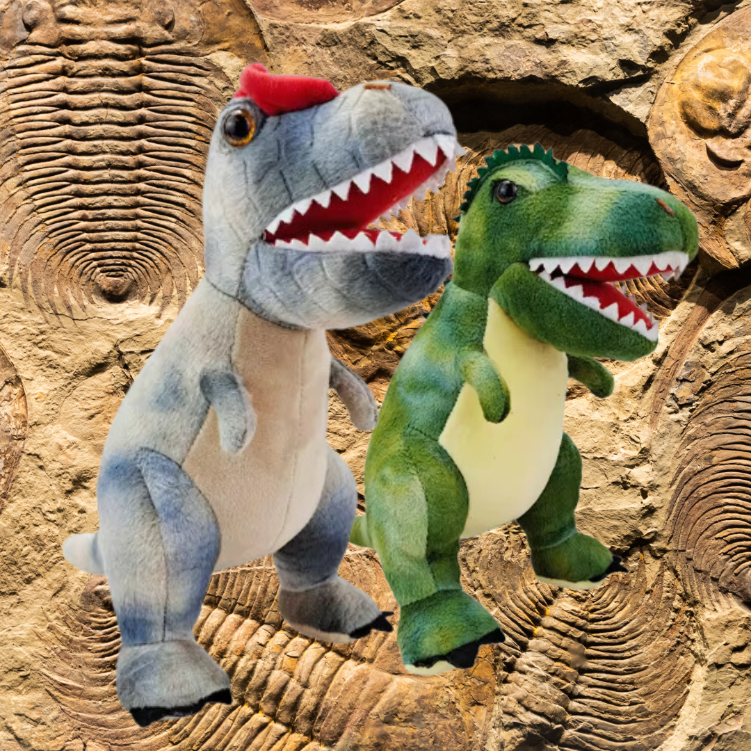 Dino Dinosaur Discovery Kit