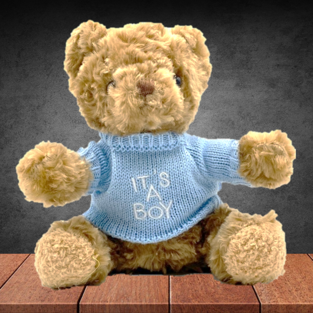 Teddy Bear With It's A Boy
