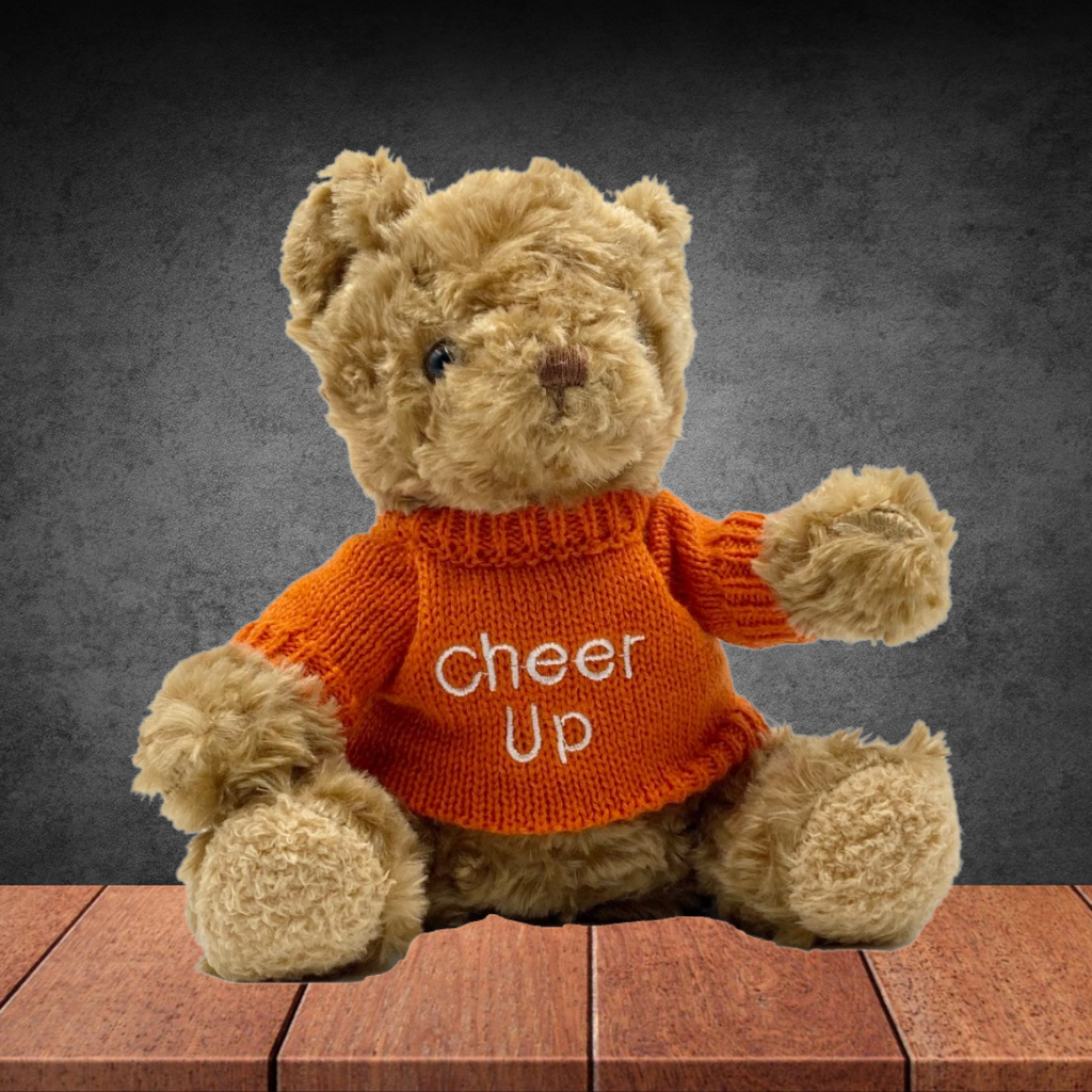 Cheer Up Teddy