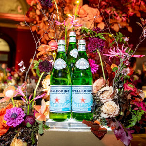 San Pellegrino Sparkling Water 500ml bottles