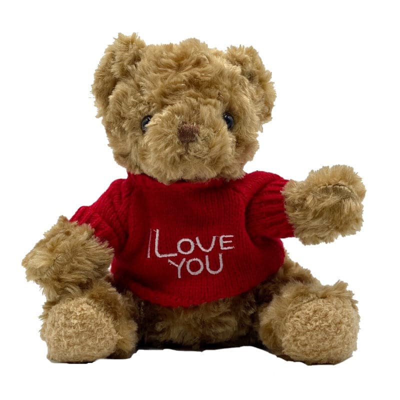 I Love You Teddy
