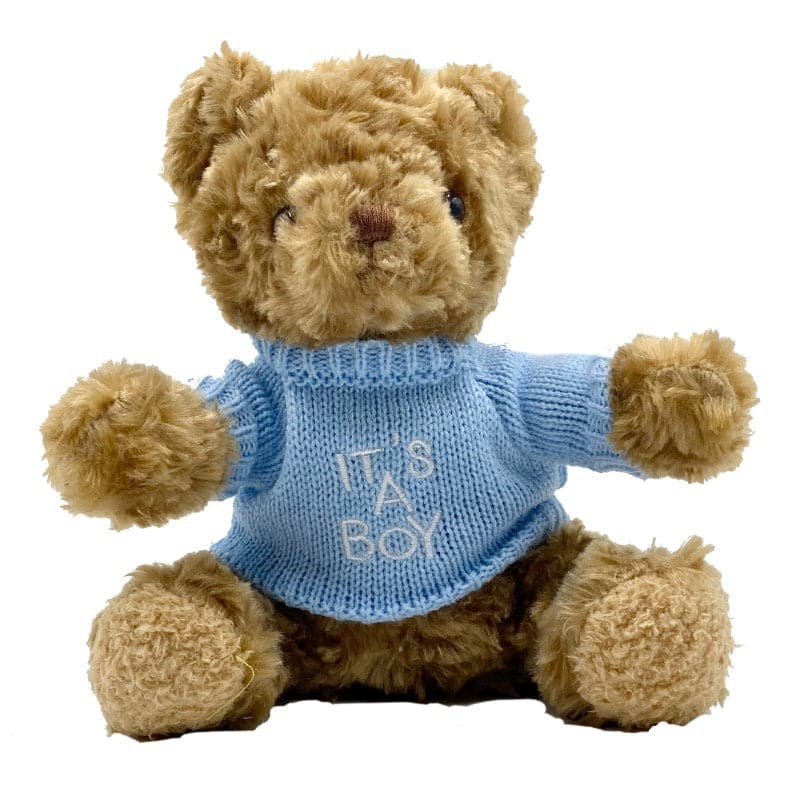 It's A Boy Teddy Baby Blue